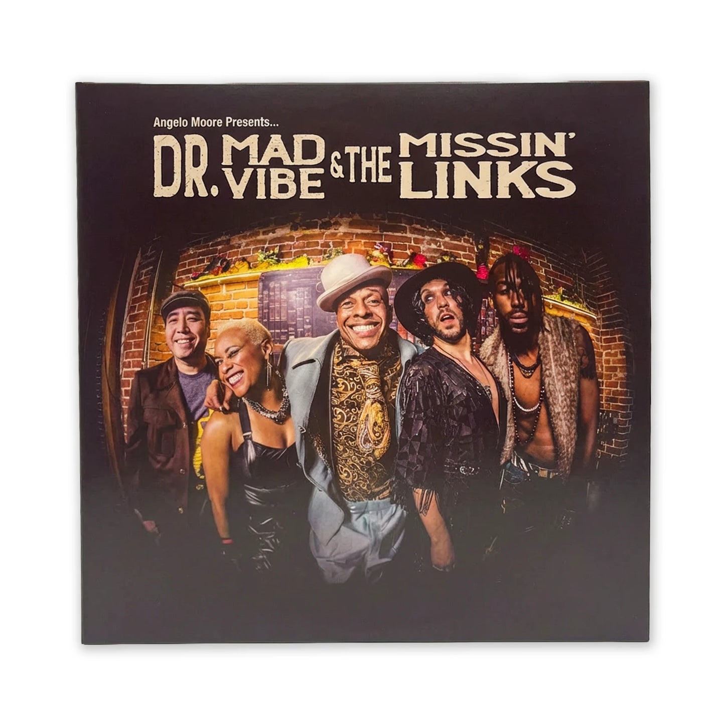 Dr. Mad Vibe & The Missin' Links Vinyl LP